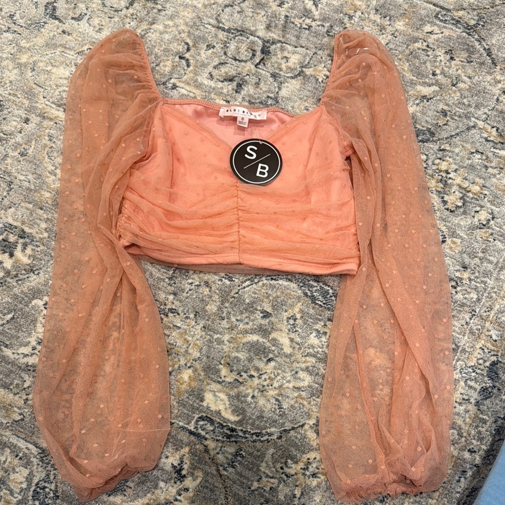 Blue Blush Pink Puff Sleeve Crop Blouse